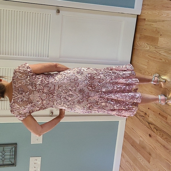 Alex Evenings Sequin Embroidered Cap Slv Flounce Hem Midi Dress Sz 6 NWOT - Picture 2 of 12